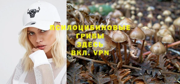 шишки Новосибирск