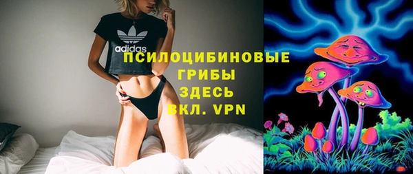 спайс Лабытнанги