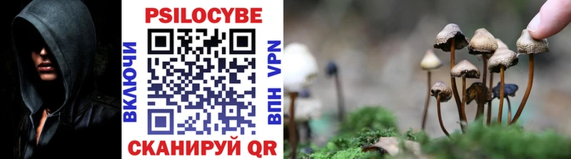 Галлюциногенные грибы Magic Shrooms Купить Лукоянов